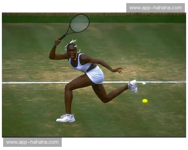 温网交锋记录:在草地上读懂胜利的语言 温网交锋记录:在草地上读懂胜利的语言