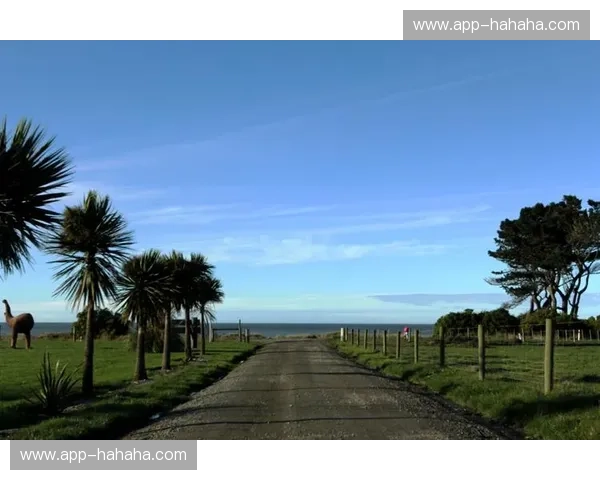 跨越大洋的足球狂想：堪萨斯城与曼城，一场跨越时空的对话